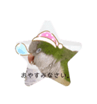かめと2羽の鳥（個別スタンプ：6）