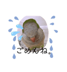 かめと2羽の鳥（個別スタンプ：7）