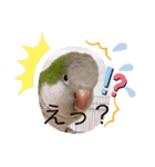 かめと2羽の鳥（個別スタンプ：8）