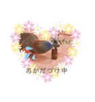 かめと2羽の鳥（個別スタンプ：9）