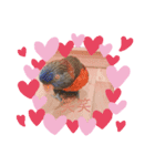 かめと2羽の鳥（個別スタンプ：11）