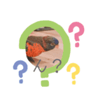 かめと2羽の鳥（個別スタンプ：12）