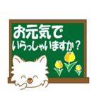 ちわちわちわわん④(白ちわ敬語)（個別スタンプ：5）