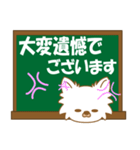 ちわちわちわわん④(白ちわ敬語)（個別スタンプ：35）