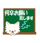 ちわちわちわわん④(白ちわ敬語)（個別スタンプ：37）