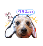 えるまるの日常（個別スタンプ：2）