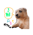 えるまるの日常（個別スタンプ：4）