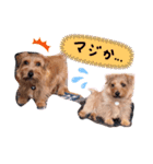 えるまるの日常（個別スタンプ：6）