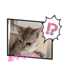 まめ太郎LIFE（個別スタンプ：2）