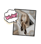 まめ太郎LIFE（個別スタンプ：5）