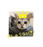 まめ太郎LIFE（個別スタンプ：13）