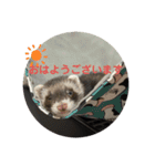 This ムイ（個別スタンプ：1）