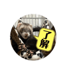 This ムイ（個別スタンプ：2）