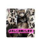 This ムイ（個別スタンプ：5）