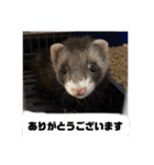 This ムイ（個別スタンプ：6）