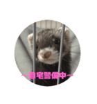 This ムイ（個別スタンプ：9）