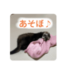 This ムイ（個別スタンプ：10）
