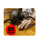 This ムイ（個別スタンプ：11）