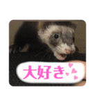 This ムイ（個別スタンプ：12）