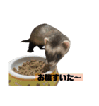 This ムイ（個別スタンプ：15）