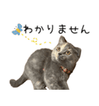 可愛い猫ミルクティー（個別スタンプ：14）