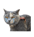 可愛い猫ミルクティー（個別スタンプ：31）