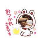 愛犬メドレー（個別スタンプ：3）