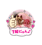 愛犬メドレー（個別スタンプ：4）