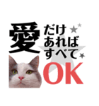 猫とエモーションしてみる？（個別スタンプ：9）