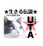 猫とエモーションしてみる？（個別スタンプ：11）