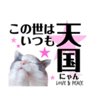 猫とエモーションしてみる？（個別スタンプ：12）