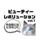 猫とエモーションしてみる？（個別スタンプ：13）