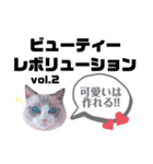 猫とエモーションしてみる？（個別スタンプ：14）
