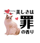 猫とエモーションしてみる？（個別スタンプ：15）