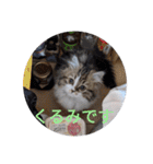 猛獣くるみちゃんの日常！（個別スタンプ：7）