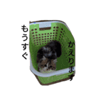 猛獣くるみちゃんの日常！（個別スタンプ：12）