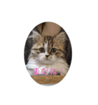 猛獣くるみちゃんの日常！（個別スタンプ：18）