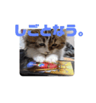 猛獣くるみちゃんの日常！（個別スタンプ：26）