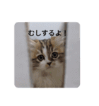 猛獣くるみちゃんの日常！（個別スタンプ：28）