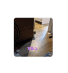 猛獣くるみちゃんの日常！（個別スタンプ：32）