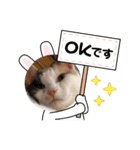 みんととばにらのスタンプ3（個別スタンプ：2）