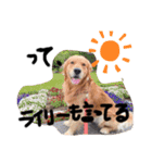 ひろむファンの為のスタンプ。（個別スタンプ：15）