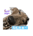 あっしゅとあーる（個別スタンプ：2）