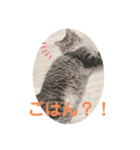 あっしゅとあーる（個別スタンプ：6）