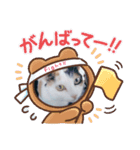TAMA 1（個別スタンプ：12）