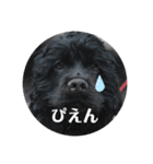 もふもふーの陸たん（個別スタンプ：1）