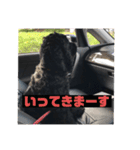 もふもふーの陸たん（個別スタンプ：12）
