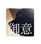 もふもふーの陸たん（個別スタンプ：13）
