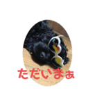 もふもふーの陸たん（個別スタンプ：14）