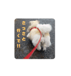 愛犬はぺキニーズ（個別スタンプ：11）